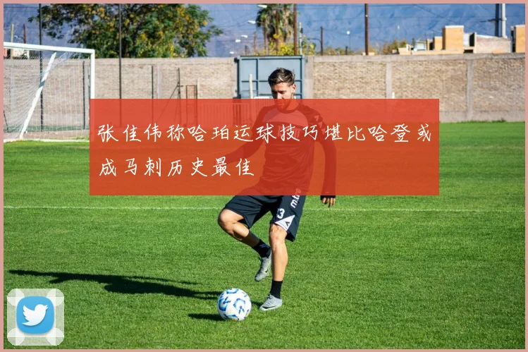 张佳伟称哈珀运球技巧堪比哈登或成马刺历史最佳
