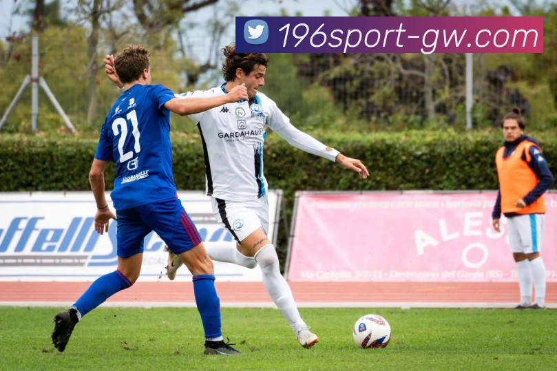 196体育APP 封面图